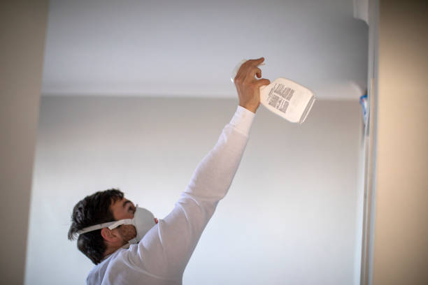 Certified Mold Removal in Langdon, ND