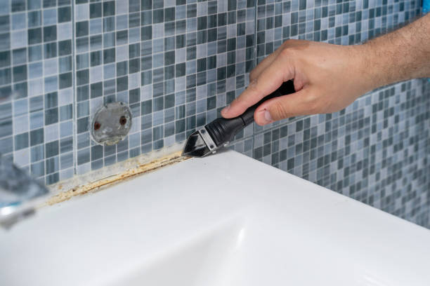 Best Professional Mold Removal  in Langdon, ND